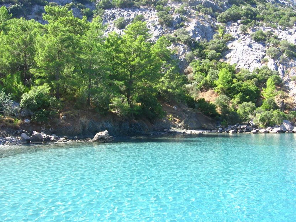 Ceneviz Koyu Tekne Turu